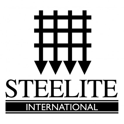 steelite internasional
