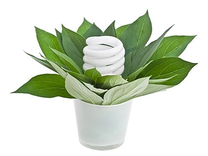 Stock photo tumbuhan hijau dan energysaving lampu