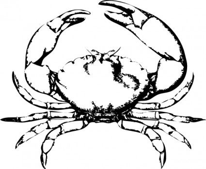ClipArt Stone crab
