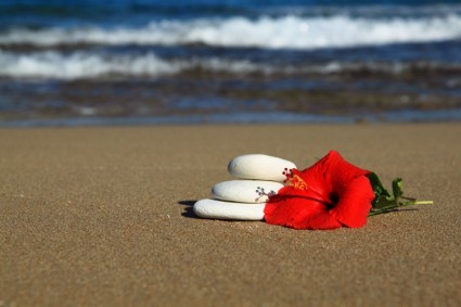 ก้อนหินและดอกไม้ในทราย