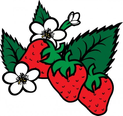 Strawberries Clip Art
