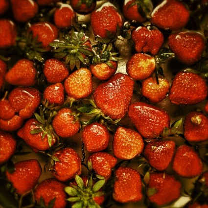草莓美味紅