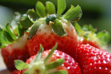 草莓的新鲜风味