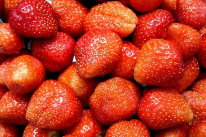 słodki owoc truskawki