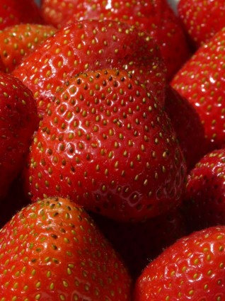 rouge fruité de fraise