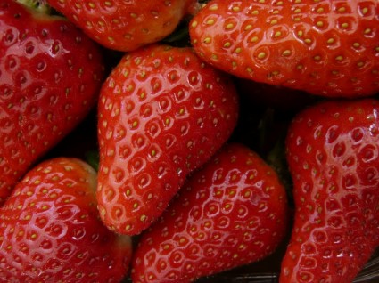 草莓草莓莓果