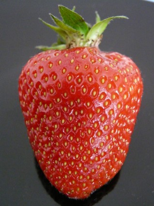 草莓果實紅色
