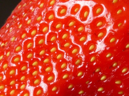 fruta fresa roja