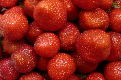 fruits fruits fraise