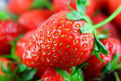 草莓高清圖片