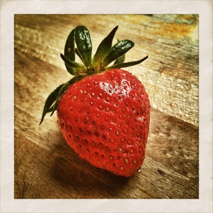 딸기 딸기 과일