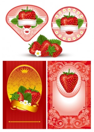 Strawberry Theme Vector