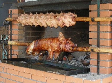 Menyusui babi daging babi