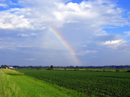 arco iris de verano sobre campo abierto