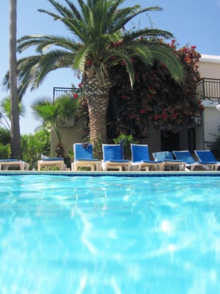 palmeras y piscina de hamacas