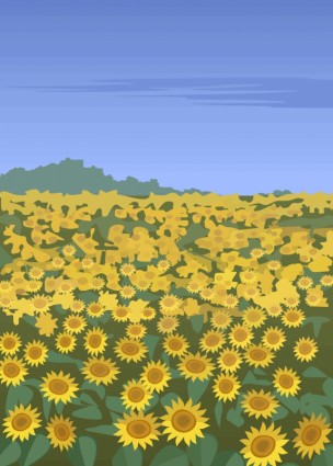 Sunflower Vector