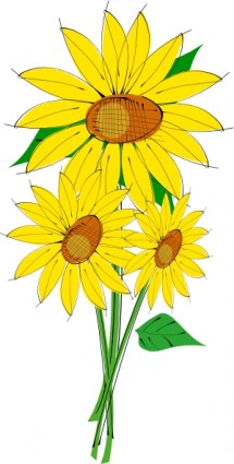 bunga matahari clip art