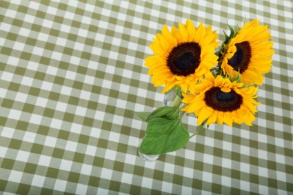 桌上的向日葵