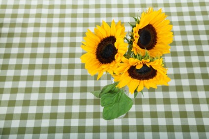 Sonnenblumen auf Tischdecke