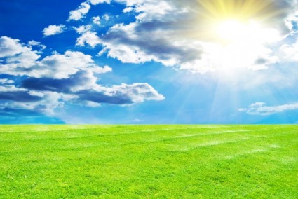 słoneczny trawnik obraz hd