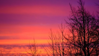 Восход солнца и деревья