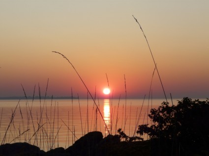 Sunrise Danau rumput