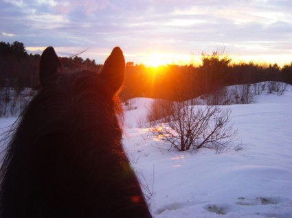 coucher de soleil à cheval