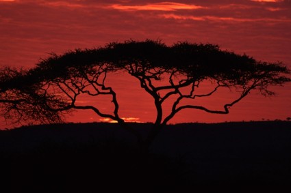 estate del cielo al tramonto