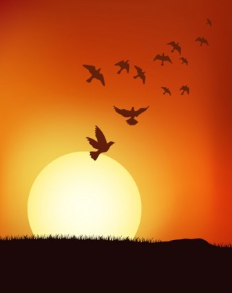 tramonto vettoriale sotto gli uccelli