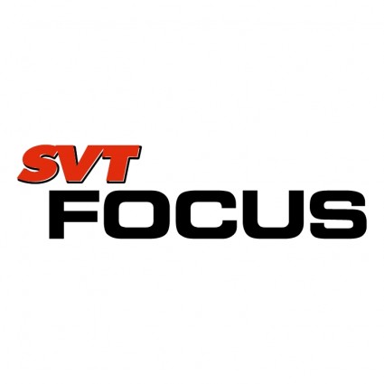 SVT-Fokus