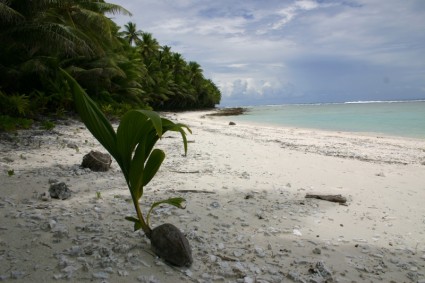 Swains đảo Samoa thuộc Mỹ biển