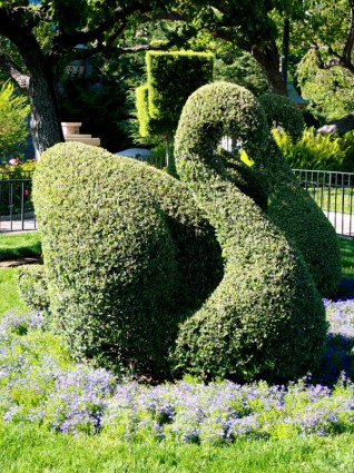 escultura del topiary cisne