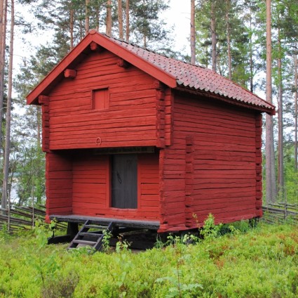 forêt de bâtiment de Suède