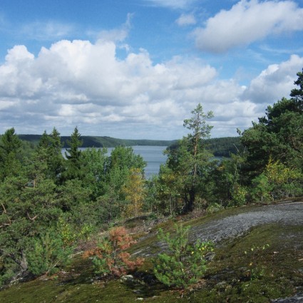 cielo de paisaje de Suecia