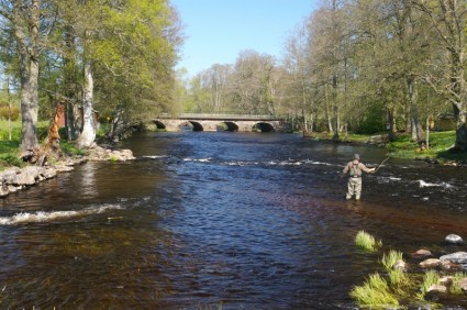 fiume di flusso di Svezia