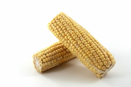 Сахарная кукуруза
