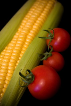 maíz y tomate