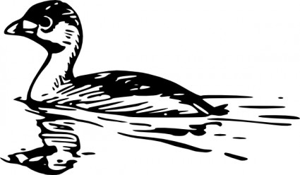 Pato nadando clip art