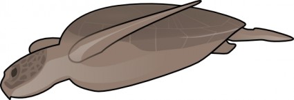 Tartaruga de natação clip-art
