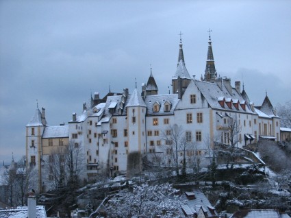 Tenuta Castello di Svizzera