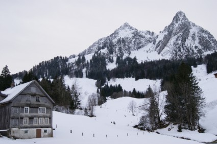 スイス連邦共和国の家の山