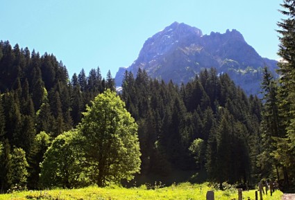 スイス連邦共和国の山を風景します。