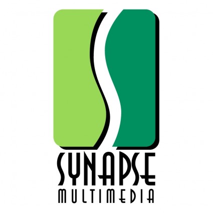 sinaps multimedia