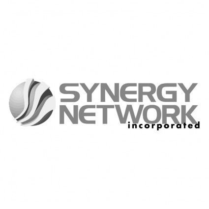 Synergie-Netzwerk