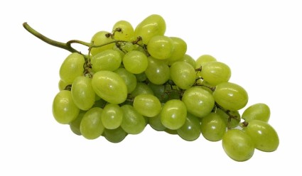 fruta de uva de uvas de mesa
