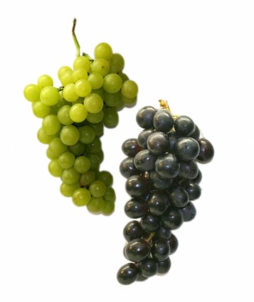 表葡萄葡萄水果