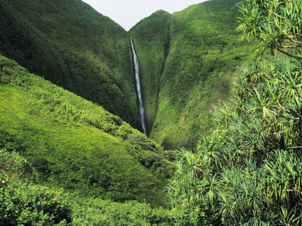 высокий водопад Обои для рабочего стола Водопады природа
