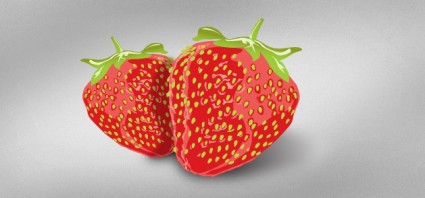 lecker Vektor Erdbeeren