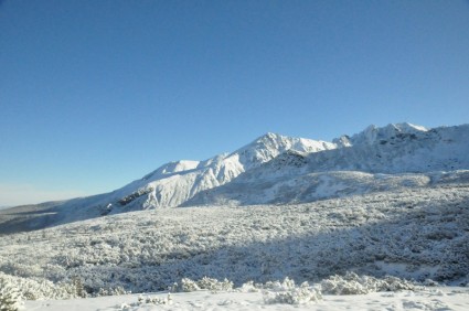 musim dingin Tatras