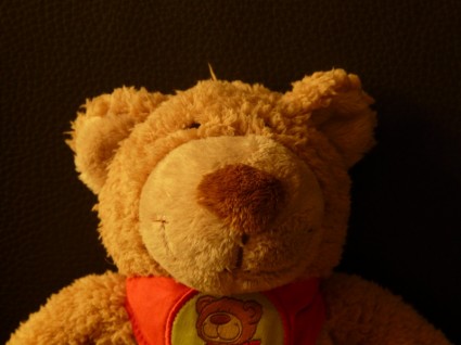 泰迪熊柔軟蓬鬆
